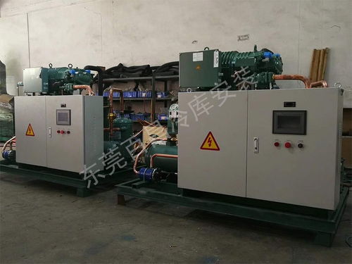 珠海鱸魚加工廠冷庫安裝 構建高品質、高安全性的食品儲存解決方案